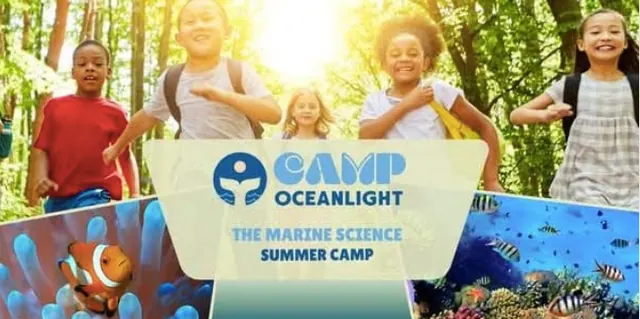 Camp Oceanlight marine science summer camp in Pacifica for kids in grades 1 through 6 at the Pacifica Historical Society