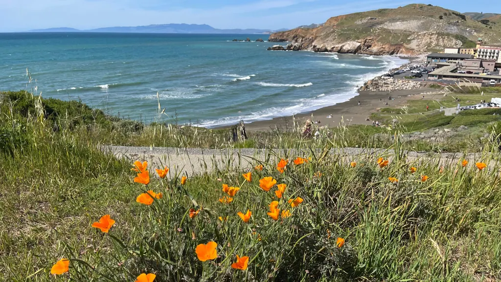 Rockaway Beach in Pacifica California with coastal cliffs ocean waves and orange poppies in foreground