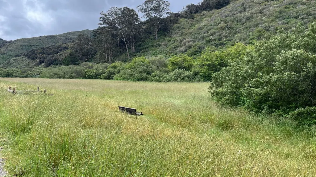 Field of tall grass and a lone bench in San Pedro Valley Park surrounded by coastal mountains, representing reflection and inherited property decisions during California probate