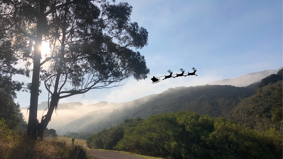 Santa and reindeer flying over San Pedro Valley Park in Pacifica