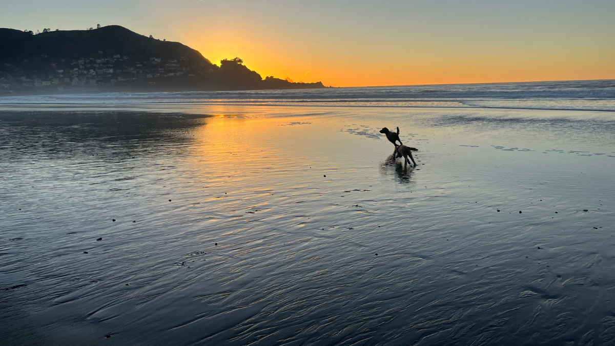 Linda Mar State Beach Pacifica at sunset