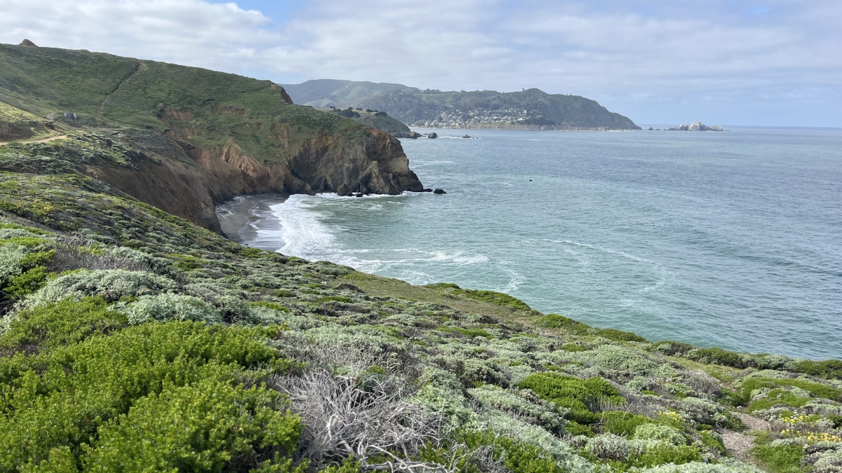 {"type":"elementor","siteurl":"https://pacificacarealtor.com/wp-json/","elements":[{"id":"25565f9","elType":"widget","isInner":false,"isLocked":false,"settings":{"image":{"url":"https://pacificacarealtor.com/wp-content/plugins/elementor/assets/images/placeholder.png","id":"","size":""},"image_size":"large","image_custom_dimension":{"width":"","height":""},"caption_source":"none","caption":"","link_to":"none","link":{"url":"","is_external":"","nofollow":"","custom_attributes":""},"open_lightbox":"default","align":"","align_tablet":"","align_mobile":"","width":{"unit":"%","size":"","sizes":[]},"width_tablet":{"unit":"%","size":"","sizes":[]},"width_mobile":{"unit":"%","size":"","sizes":[]},"space":{"unit":"%","size":"","sizes":[]},"space_tablet":{"unit":"%","size":"","sizes":[]},"space_mobile":{"unit":"%","size":"","sizes":[]},"height":{"unit":"px","size":"","sizes":[]},"height_tablet":{"unit":"px","size":"","sizes":[]},"height_mobile":{"unit":"px","size":"","sizes":[]},"object-fit":"","object-fit_tablet":"","object-fit_mobile":"","object-position":"center center","object-position_tablet":"","object-position_mobile":"","opacity":{"unit":"px","size":"","sizes":[]},"css_filters_css_filter":"","css_filters_blur":{"unit":"px","size":0,"sizes":[]},"css_filters_brightness":{"unit":"px","size":100,"sizes":[]},"css_filters_contrast":{"unit":"px","size":100,"sizes":[]},"css_filters_saturate":{"unit":"px","size":100,"sizes":[]},"css_filters_hue":{"unit":"px","size":0,"sizes":[]},"opacity_hover":{"unit":"px","size":"","sizes":[]},"css_filters_hover_css_filter":"","css_filters_hover_blur":{"unit":"px","size":0,"sizes":[]},"css_filters_hover_brightness":{"unit":"px","size":100,"sizes":[]},"css_filters_hover_contrast":{"unit":"px","size":100,"sizes":[]},"css_filters_hover_saturate":{"unit":"px","size":100,"sizes":[]},"css_filters_hover_hue":{"unit":"px","size":0,"sizes":[]},"background_hover_transition":{"unit":"px","size":"","sizes":[]},"hover_animation":"","image_border_border":"","image_border_width":{"unit":"px","top":"","right":"","bottom":"","left":"","isLinked":true},"image_border_width_tablet":{"unit":"px","top":"","right":"","bottom":"","left":"","isLinked":true},"image_border_width_mobile":{"unit":"px","top":"","right":"","bottom":"","left":"","isLinked":true},"image_border_color":"","image_border_radius":{"unit":"px","top":"","right":"","bottom":"","left":"","isLinked":true},"image_border_radius_tablet":{"unit":"px","top":"","right":"","bottom":"","left":"","isLinked":true},"image_border_radius_mobile":{"unit":"px","top":"","right":"","bottom":"","left":"","isLinked":true},"image_box_shadow_box_shadow_type":"","image_box_shadow_box_shadow":{"horizontal":0,"vertical":0,"blur":10,"spread":0,"color":"rgba(0,0,0,0.5)"},"caption_align":"","caption_align_tablet":"","caption_align_mobile":"","text_color":"","caption_background_color":"","caption_typography_typography":"","caption_typography_font_family":"","caption_typography_font_size":{"unit":"px","size":"","sizes":[]},"caption_typography_font_size_tablet":{"unit":"px","size":"","sizes":[]},"caption_typography_font_size_mobile":{"unit":"px","size":"","sizes":[]},"caption_typography_font_weight":"","caption_typography_text_transform":"","caption_typography_font_style":"","caption_typography_text_decoration":"","caption_typography_line_height":{"unit":"px","size":"","sizes":[]},"caption_typography_line_height_tablet":{"unit":"em","size":"","sizes":[]},"caption_typography_line_height_mobile":{"unit":"em","size":"","sizes":[]},"caption_typography_letter_spacing":{"unit":"px","size":"","sizes":[]},"caption_typography_letter_spacing_tablet":{"unit":"px","size":"","sizes":[]},"caption_typography_letter_spacing_mobile":{"unit":"px","size":"","sizes":[]},"caption_typography_word_spacing":{"unit":"px","size":"","sizes":[]},"caption_typography_word_spacing_tablet":{"unit":"em","size":"","sizes":[]},"caption_typography_word_spacing_mobile":{"unit":"em","size":"","sizes":[]},"caption_text_shadow_text_shadow_type":"","caption_text_shadow_text_shadow":{"horizontal":0,"vertical":0,"blur":10,"color":"rgba(0,0,0,0.3)"},"caption_space":{"unit":"px","size":"","sizes":[]},"caption_space_tablet":{"unit":"px","size":"","sizes":[]},"caption_space_mobile":{"unit":"px","size":"","sizes":[]},"_title":"","_margin":{"unit":"px","top":"","right":"","bottom":"","left":"","isLinked":true},"_margin_tablet":{"unit":"px","top":"","right":"","bottom":"","left":"","isLinked":true},"_margin_mobile":{"unit":"px","top":"","right":"","bottom":"","left":"","isLinked":true},"_padding":{"unit":"px","top":"","right":"","bottom":"","left":"","isLinked":true},"_padding_tablet":{"unit":"px","top":"","right":"","bottom":"","left":"","isLinked":true},"_padding_mobile":{"unit":"px","top":"","right":"","bottom":"","left":"","isLinked":true},"_element_width":"","_element_width_tablet":"","_element_width_mobile":"","_element_custom_width":{"unit":"%","size":"","sizes":[]},"_element_custom_width_tablet":{"unit":"px","size":"","sizes":[]},"_element_custom_width_mobile":{"unit":"px","size":"","sizes":[]},"_grid_column":"","_grid_column_tablet":"","_grid_column_mobile":"","_grid_column_custom":"","_grid_column_custom_tablet":"","_grid_column_custom_mobile":"","_grid_row":"","_grid_row_tablet":"","_grid_row_mobile":"","_grid_row_custom":"","_grid_row_custom_tablet":"","_grid_row_custom_mobile":"","_flex_align_self":"","_flex_align_self_tablet":"","_flex_align_self_mobile":"","_flex_order":"","_flex_order_tablet":"","_flex_order_mobile":"","_flex_order_custom":"","_flex_order_custom_tablet":"","_flex_order_custom_mobile":"","_flex_size":"","_flex_size_tablet":"","_flex_size_mobile":"","_flex_grow":1,"_flex_grow_tablet":"","_flex_grow_mobile":"","_flex_shrink":1,"_flex_shrink_tablet":"","_flex_shrink_mobile":"","_element_vertical_align":"","_element_vertical_align_tablet":"","_element_vertical_align_mobile":"","_position":"","_offset_orientation_h":"start","_offset_x":{"unit":"px","size":0,"sizes":[]},"_offset_x_tablet":{"unit":"px","size":"","sizes":[]},"_offset_x_mobile":{"unit":"px","size":"","sizes":[]},"_offset_x_end":{"unit":"px","size":0,"sizes":[]},"_offset_x_end_tablet":{"unit":"px","size":"","sizes":[]},"_offset_x_end_mobile":{"unit":"px","size":"","sizes":[]},"_offset_orientation_v":"start","_offset_y":{"unit":"px","size":0,"sizes":[]},"_offset_y_tablet":{"unit":"px","size":"","sizes":[]},"_offset_y_mobile":{"unit":"px","size":"","sizes":[]},"_offset_y_end":{"unit":"px","size":0,"sizes":[]},"_offset_y_end_tablet":{"unit":"px","size":"","sizes":[]},"_offset_y_end_mobile":{"unit":"px","size":"","sizes":[]},"_z_index":"","_z_index_tablet":"","_z_index_mobile":"","_element_id":"","_css_classes":"","e_display_conditions":"","_element_cache":"","motion_fx_motion_fx_scrolling":"","motion_fx_translateY_effect":"","motion_fx_translateY_direction":"","motion_fx_translateY_speed":{"unit":"px","size":4,"sizes":[]},"motion_fx_translateY_affectedRange":{"unit":"%","size":"","sizes":{"start":0,"end":100}},"motion_fx_translateX_effect":"","motion_fx_translateX_direction":"","motion_fx_translateX_speed":{"unit":"px","size":4,"sizes":[]},"motion_fx_translateX_affectedRange":{"unit":"%","size":"","sizes":{"start":0,"end":100}},"motion_fx_opacity_effect":"","motion_fx_opacity_direction":"out-in","motion_fx_opacity_level":{"unit":"px","size":10,"sizes":[]},"motion_fx_opacity_range":{"unit":"%","size":"","sizes":{"start":20,"end":80}},"motion_fx_blur_effect":"","motion_fx_blur_direction":"out-in","motion_fx_blur_level":{"unit":"px","size":7,"sizes":[]},"motion_fx_blur_range":{"unit":"%","size":"","sizes":{"start":20,"end":80}},"motion_fx_rotateZ_effect":"","motion_fx_rotateZ_direction":"","motion_fx_rotateZ_speed":{"unit":"px","size":1,"sizes":[]},"motion_fx_rotateZ_affectedRange":{"unit":"%","size":"","sizes":{"start":0,"end":100}},"motion_fx_scale_effect":"","motion_fx_scale_direction":"out-in","motion_fx_scale_speed":{"unit":"px","size":4,"sizes":[]},"motion_fx_scale_range":{"unit":"%","size":"","sizes":{"start":20,"end":80}},"motion_fx_transform_origin_x":"center","motion_fx_transform_origin_y":"center","motion_fx_devices":["desktop","tablet","mobile"],"motion_fx_range":"","motion_fx_motion_fx_mouse":"","motion_fx_mouseTrack_effect":"","motion_fx_mouseTrack_direction":"","motion_fx_mouseTrack_speed":{"unit":"px","size":1,"sizes":[]},"motion_fx_tilt_effect":"","motion_fx_tilt_direction":"","motion_fx_tilt_speed":{"unit":"px","size":4,"sizes":[]},"handle_motion_fx_asset_loading":"","sticky":"","sticky_on":["desktop","tablet","mobile"],"sticky_offset":0,"sticky_offset_tablet":"","sticky_offset_mobile":"","sticky_effects_offset":0,"sticky_effects_offset_tablet":"","sticky_effects_offset_mobile":"","sticky_anchor_link_offset":0,"sticky_anchor_link_offset_tablet":"","sticky_anchor_link_offset_mobile":"","sticky_parent":"","_animation":"","_animation_tablet":"","_animation_mobile":"","animation_duration":"","_animation_delay":"","_transform_rotate_popover":"","_transform_rotateZ_effect":{"unit":"px","size":"","sizes":[]},"_transform_rotateZ_effect_tablet":{"unit":"deg","size":"","sizes":[]},"_transform_rotateZ_effect_mobile":{"unit":"deg","size":"","sizes":[]},"_transform_rotate_3d":"","_transform_rotateX_effect":{"unit":"px","size":"","sizes":[]},"_transform_rotateX_effect_tablet":{"unit":"deg","size":"","sizes":[]},"_transform_rotateX_effect_mobile":{"unit":"deg","size":"","sizes":[]},"_transform_rotateY_effect":{"unit":"px","size":"","sizes":[]},"_transform_rotateY_effect_tablet":{"unit":"deg","size":"","sizes":[]},"_transform_rotateY_effect_mobile":{"unit":"deg","size":"","sizes":[]},"_transform_perspective_effect":{"unit":"px","size":"","sizes":[]},"_transform_perspective_effect_tablet":{"unit":"px","size":"","sizes":[]},"_transform_perspective_effect_mobile":{"unit":"px","size":"","sizes":[]},"_transform_translate_popover":"","_transform_translateX_effect":{"unit":"px","size":"","sizes":[]},"_transform_translateX_effect_tablet":{"unit":"px","size":"","sizes":[]},"_transform_translateX_effect_mobile":{"unit":"px","size":"","sizes":[]},"_transform_translateY_effect":{"unit":"px","size":"","sizes":[]},"_transform_translateY_effect_tablet":{"unit":"px","size":"","sizes":[]},"_transform_translateY_effect_mobile":{"unit":"px","size":"","sizes":[]},"_transform_scale_popover":"","_transform_keep_proportions":"yes","_transform_scale_effect":{"unit":"px","size":"","sizes":[]},"_transform_scale_effect_tablet":{"unit":"px","size":"","sizes":[]},"_transform_scale_effect_mobile":{"unit":"px","size":"","sizes":[]},"_transform_scaleX_effect":{"unit":"px","size":"","sizes":[]},"_transform_scaleX_effect_tablet":{"unit":"px","size":"","sizes":[]},"_transform_scaleX_effect_mobile":{"unit":"px","size":"","sizes":[]},"_transform_scaleY_effect":{"unit":"px","size":"","sizes":[]},"_transform_scaleY_effect_tablet":{"unit":"px","size":"","sizes":[]},"_transform_scaleY_effect_mobile":{"unit":"px","size":"","sizes":[]},"_transform_skew_popover":"","_transform_skewX_effect":{"unit":"px","size":"","sizes":[]},"_transform_skewX_effect_tablet":{"unit":"deg","size":"","sizes":[]},"_transform_skewX_effect_mobile":{"unit":"deg","size":"","sizes":[]},"_transform_skewY_effect":{"unit":"px","size":"","sizes":[]},"_transform_skewY_effect_tablet":{"unit":"deg","size":"","sizes":[]},"_transform_skewY_effect_mobile":{"unit":"deg","size":"","sizes":[]},"_transform_flipX_effect":"","_transform_flipY_effect":"","_transform_rotate_popover_hover":"","_transform_rotateZ_effect_hover":{"unit":"px","size":"","sizes":[]},"_transform_rotateZ_effect_hover_tablet":{"unit":"deg","size":"","sizes":[]},"_transform_rotateZ_effect_hover_mobile":{"unit":"deg","size":"","sizes":[]},"_transform_rotate_3d_hover":"","_transform_rotateX_effect_hover":{"unit":"px","size":"","sizes":[]},"_transform_rotateX_effect_hover_tablet":{"unit":"deg","size":"","sizes":[]},"_transform_rotateX_effect_hover_mobile":{"unit":"deg","size":"","sizes":[]},"_transform_rotateY_effect_hover":{"unit":"px","size":"","sizes":[]},"_transform_rotateY_effect_hover_tablet":{"unit":"deg","size":"","sizes":[]},"_transform_rotateY_effect_hover_mobile":{"unit":"deg","size":"","sizes":[]},"_transform_perspective_effect_hover":{"unit":"px","size":"","sizes":[]},"_transform_perspective_effect_hover_tablet":{"unit":"px","size":"","sizes":[]},"_transform_perspective_effect_hover_mobile":{"unit":"px","size":"","sizes":[]},"_transform_translate_popover_hover":"","_transform_translateX_effect_hover":{"unit":"px","size":"","sizes":[]},"_transform_translateX_effect_hover_tablet":{"unit":"px","size":"","sizes":[]},"_transform_translateX_effect_hover_mobile":{"unit":"px","size":"","sizes":[]},"_transform_translateY_effect_hover":{"unit":"px","size":"","sizes":[]},"_transform_translateY_effect_hover_tablet":{"unit":"px","size":"","sizes":[]},"_transform_translateY_effect_hover_mobile":{"unit":"px","size":"","sizes":[]},"_transform_scale_popover_hover":"","_transform_keep_proportions_hover":"yes","_transform_scale_effect_hover":{"unit":"px","size":"","sizes":[]},"_transform_scale_effect_hover_tablet":{"unit":"px","size":"","sizes":[]},"_transform_scale_effect_hover_mobile":{"unit":"px","size":"","sizes":[]},"_transform_scaleX_effect_hover":{"unit":"px","size":"","sizes":[]},"_transform_scaleX_effect_hover_tablet":{"unit":"px","size":"","sizes":[]},"_transform_scaleX_effect_hover_mobile":{"unit":"px","size":"","sizes":[]},"_transform_scaleY_effect_hover":{"unit":"px","size":"","sizes":[]},"_transform_scaleY_effect_hover_tablet":{"unit":"px","size":"","sizes":[]},"_transform_scaleY_effect_hover_mobile":{"unit":"px","size":"","sizes":[]},"_transform_skew_popover_hover":"","_transform_skewX_effect_hover":{"unit":"px","size":"","sizes":[]},"_transform_skewX_effect_hover_tablet":{"unit":"deg","size":"","sizes":[]},"_transform_skewX_effect_hover_mobile":{"unit":"deg","size":"","sizes":[]},"_transform_skewY_effect_hover":{"unit":"px","size":"","sizes":[]},"_transform_skewY_effect_hover_tablet":{"unit":"deg","size":"","sizes":[]},"_transform_skewY_effect_hover_mobile":{"unit":"deg","size":"","sizes":[]},"_transform_flipX_effect_hover":"","_transform_flipY_effect_hover":"","_transform_transition_hover":{"unit":"px","size":"","sizes":[]},"motion_fx_transform_x_anchor_point":"","motion_fx_transform_x_anchor_point_tablet":"","motion_fx_transform_x_anchor_point_mobile":"","motion_fx_transform_y_anchor_point":"","motion_fx_transform_y_anchor_point_tablet":"","motion_fx_transform_y_anchor_point_mobile":"","_background_background":"","_background_color":"","_background_color_stop":{"unit":"%","size":0,"sizes":[]},"_background_color_stop_tablet":{"unit":"%"},"_background_color_stop_mobile":{"unit":"%"},"_background_color_b":"#f2295b","_background_color_b_stop":{"unit":"%","size":100,"sizes":[]},"_background_color_b_stop_tablet":{"unit":"%"},"_background_color_b_stop_mobile":{"unit":"%"},"_background_gradient_type":"linear","_background_gradient_angle":{"unit":"deg","size":180,"sizes":[]},"_background_gradient_angle_tablet":{"unit":"deg"},"_background_gradient_angle_mobile":{"unit":"deg"},"_background_gradient_position":"center center","_background_gradient_position_tablet":"","_background_gradient_position_mobile":"","_background_image":{"url":"","id":"","size":""},"_background_image_tablet":{"url":"","id":"","size":""},"_background_image_mobile":{"url":"","id":"","size":""},"_background_position":"","_background_position_tablet":"","_background_position_mobile":"","_background_xpos":{"unit":"px","size":0,"sizes":[]},"_background_xpos_tablet":{"unit":"px","size":0,"sizes":[]},"_background_xpos_mobile":{"unit":"px","size":0,"sizes":[]},"_background_ypos":{"unit":"px","size":0,"sizes":[]},"_background_ypos_tablet":{"unit":"px","size":0,"sizes":[]},"_background_ypos_mobile":{"unit":"px","size":0,"sizes":[]},"_background_attachment":"","_background_repeat":"","_background_repeat_tablet":"","_background_repeat_mobile":"","_background_size":"","_background_size_tablet":"","_background_size_mobile":"","_background_bg_width":{"unit":"%","size":100,"sizes":[]},"_background_bg_width_tablet":{"unit":"px","size":"","sizes":[]},"_background_bg_width_mobile":{"unit":"px","size":"","sizes":[]},"_background_video_link":"","_background_video_start":"","_background_video_end":"","_background_play_once":"","_background_play_on_mobile":"","_background_privacy_mode":"","_background_video_fallback":{"url":"","id":"","size":""},"_background_slideshow_gallery":[],"_background_slideshow_loop":"yes","_background_slideshow_slide_duration":5000,"_background_slideshow_slide_transition":"fade","_background_slideshow_transition_duration":500,"_background_slideshow_background_size":"","_background_slideshow_background_size_tablet":"","_background_slideshow_background_size_mobile":"","_background_slideshow_background_position":"","_background_slideshow_background_position_tablet":"","_background_slideshow_background_position_mobile":"","_background_slideshow_lazyload":"","_background_slideshow_ken_burns":"","_background_slideshow_ken_burns_zoom_direction":"in","_background_hover_background":"","_background_hover_color":"","_background_hover_color_stop":{"unit":"%","size":0,"sizes":[]},"_background_hover_color_stop_tablet":{"unit":"%"},"_background_hover_color_stop_mobile":{"unit":"%"},"_background_hover_color_b":"#f2295b","_background_hover_color_b_stop":{"unit":"%","size":100,"sizes":[]},"_background_hover_color_b_stop_tablet":{"unit":"%"},"_background_hover_color_b_stop_mobile":{"unit":"%"},"_background_hover_gradient_type":"linear","_background_hover_gradient_angle":{"unit":"deg","size":180,"sizes":[]},"_background_hover_gradient_angle_tablet":{"unit":"deg"},"_background_hover_gradient_angle_mobile":{"unit":"deg"},"_background_hover_gradient_position":"center center","_background_hover_gradient_position_tablet":"","_background_hover_gradient_position_mobile":"","_background_hover_image":{"url":"","id":"","size":""},"_background_hover_image_tablet":{"url":"","id":"","size":""},"_background_hover_image_mobile":{"url":"","id":"","size":""},"_background_hover_position":"","_background_hover_position_tablet":"","_background_hover_position_mobile":"","_background_hover_xpos":{"unit":"px","size":0,"sizes":[]},"_background_hover_xpos_tablet":{"unit":"px","size":0,"sizes":[]},"_background_hover_xpos_mobile":{"unit":"px","size":0,"sizes":[]},"_background_hover_ypos":{"unit":"px","size":0,"sizes":[]},"_background_hover_ypos_tablet":{"unit":"px","size":0,"sizes":[]},"_background_hover_ypos_mobile":{"unit":"px","size":0,"sizes":[]},"_background_hover_attachment":"","_background_hover_repeat":"","_background_hover_repeat_tablet":"","_background_hover_repeat_mobile":"","_background_hover_size":"","_background_hover_size_tablet":"","_background_hover_size_mobile":"","_background_hover_bg_width":{"unit":"%","size":100,"sizes":[]},"_background_hover_bg_width_tablet":{"unit":"px","size":"","sizes":[]},"_background_hover_bg_width_mobile":{"unit":"px","size":"","sizes":[]},"_background_hover_video_link":"","_background_hover_video_start":"","_background_hover_video_end":"","_background_hover_play_once":"","_background_hover_play_on_mobile":"","_background_hover_privacy_mode":"","_background_hover_video_fallback":{"url":"","id":"","size":""},"_background_hover_slideshow_gallery":[],"_background_hover_slideshow_loop":"yes","_background_hover_slideshow_slide_duration":5000,"_background_hover_slideshow_slide_transition":"fade","_background_hover_slideshow_transition_duration":500,"_background_hover_slideshow_background_size":"","_background_hover_slideshow_background_size_tablet":"","_background_hover_slideshow_background_size_mobile":"","_background_hover_slideshow_background_position":"","_background_hover_slideshow_background_position_tablet":"","_background_hover_slideshow_background_position_mobile":"","_background_hover_slideshow_lazyload":"","_background_hover_slideshow_ken_burns":"","_background_hover_slideshow_ken_burns_zoom_direction":"in","_background_hover_transition":{"unit":"px","size":"","sizes":[]},"_border_border":"","_border_width":{"unit":"px","top":"","right":"","bottom":"","left":"","isLinked":true},"_border_width_tablet":{"unit":"px","top":"","right":"","bottom":"","left":"","isLinked":true},"_border_width_mobile":{"unit":"px","top":"","right":"","bottom":"","left":"","isLinked":true},"_border_color":"","_border_radius":{"unit":"px","top":"","right":"","bottom":"","left":"","isLinked":true},"_border_radius_tablet":{"unit":"px","top":"","right":"","bottom":"","left":"","isLinked":true},"_border_radius_mobile":{"unit":"px","top":"","right":"","bottom":"","left":"","isLinked":true},"_box_shadow_box_shadow_type":"","_box_shadow_box_shadow":{"horizontal":0,"vertical":0,"blur":10,"spread":0,"color":"rgba(0,0,0,0.5)"},"_box_shadow_box_shadow_position":" ","_border_hover_border":"","_border_hover_width":{"unit":"px","top":"","right":"","bottom":"","left":"","isLinked":true},"_border_hover_width_tablet":{"unit":"px","top":"","right":"","bottom":"","left":"","isLinked":true},"_border_hover_width_mobile":{"unit":"px","top":"","right":"","bottom":"","left":"","isLinked":true},"_border_hover_color":"","_border_radius_hover":{"unit":"px","top":"","right":"","bottom":"","left":"","isLinked":true},"_border_radius_hover_tablet":{"unit":"px","top":"","right":"","bottom":"","left":"","isLinked":true},"_border_radius_hover_mobile":{"unit":"px","top":"","right":"","bottom":"","left":"","isLinked":true},"_box_shadow_hover_box_shadow_type":"","_box_shadow_hover_box_shadow":{"horizontal":0,"vertical":0,"blur":10,"spread":0,"color":"rgba(0,0,0,0.5)"},"_box_shadow_hover_box_shadow_position":" ","_border_hover_transition":{"unit":"px","size":"","sizes":[]},"_mask_switch":"","_mask_shape":"circle","_mask_image":{"url":"","id":"","size":""},"_mask_image_tablet":{"url":"","id":"","size":""},"_mask_image_mobile":{"url":"","id":"","size":""},"_mask_size":"contain","_mask_size_tablet":"","_mask_size_mobile":"","_mask_size_scale":{"unit":"%","size":100,"sizes":[]},"_mask_size_scale_tablet":{"unit":"px","size":"","sizes":[]},"_mask_size_scale_mobile":{"unit":"px","size":"","sizes":[]},"_mask_position":"center center","_mask_position_tablet":"","_mask_position_mobile":"","_mask_position_x":{"unit":"%","size":0,"sizes":[]},"_mask_position_x_tablet":{"unit":"px","size":"","sizes":[]},"_mask_position_x_mobile":{"unit":"px","size":"","sizes":[]},"_mask_position_y":{"unit":"%","size":0,"sizes":[]},"_mask_position_y_tablet":{"unit":"px","size":"","sizes":[]},"_mask_position_y_mobile":{"unit":"px","size":"","sizes":[]},"_mask_repeat":"no-repeat","_mask_repeat_tablet":"","_mask_repeat_mobile":"","hide_desktop":"","hide_tablet":"","hide_mobile":"","_attributes":"","custom_css":""},"defaultEditSettings":{"defaultEditRoute":"content"},"interactions":{},"elements":[],"widgetType":"image","editSettings":{"defaultEditRoute":"content","panel":{"activeTab":"content","activeSection":"section_image"}},"htmlCache":""}]}