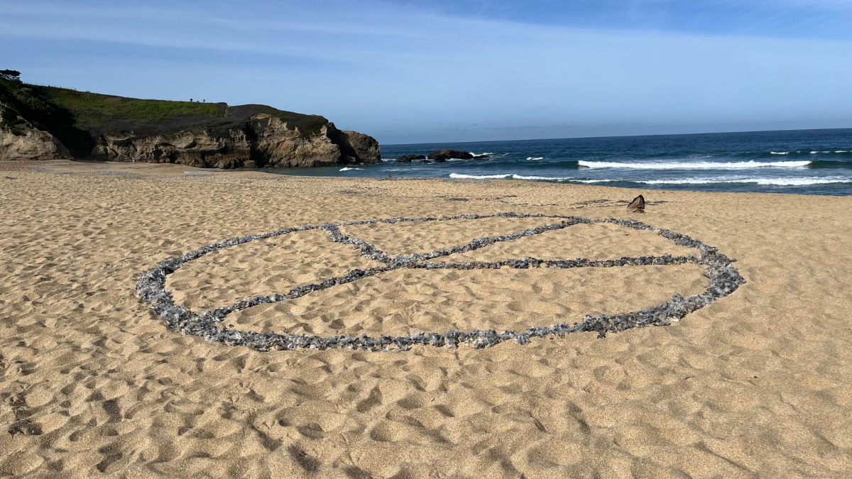 Peace sign made of Velella velella (by-the-wind sailors) on a Montara beach in San Mateo County