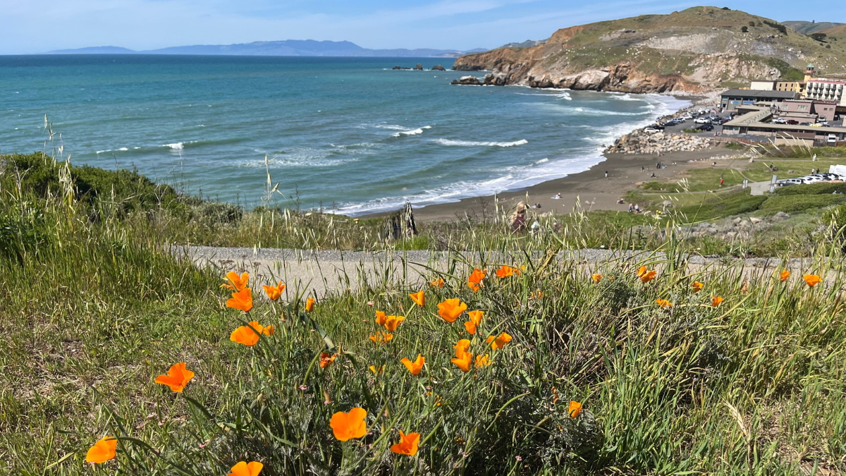 Rockaway Beach in Pacifica California with coastal cliffs ocean waves and orange poppies in foreground