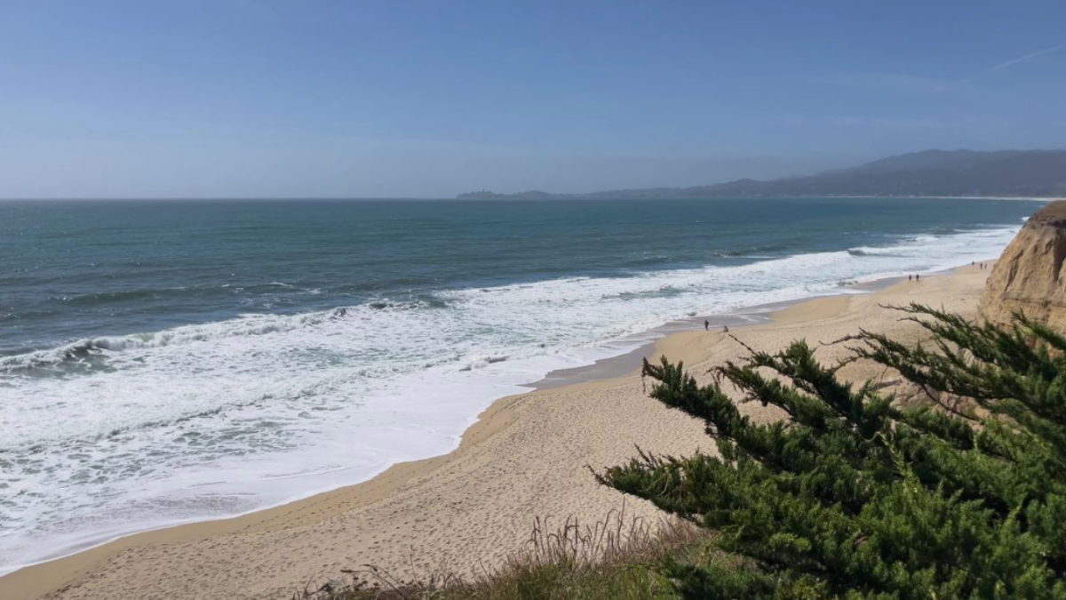 Wavecrest Trail and ocean view along the San Mateo County coast